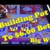 Buffalo Gold | Progressive Betting Paid Off – Big Win