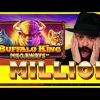 ROSHTEIN  MEGA RECORD WIN ON BUFFALO KING!!