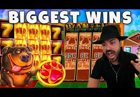 TOP BIGGEST WINS FROM 1000X. New streamers records of the week