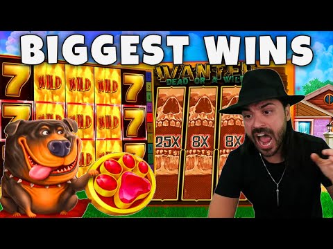 TOP BIGGEST WINS FROM 1000X. New streamers records of the week