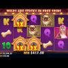 🎰 Casino online Philippines for real money 💰 The Dog house slot BIG WIN 🤑 Online casino Philippines