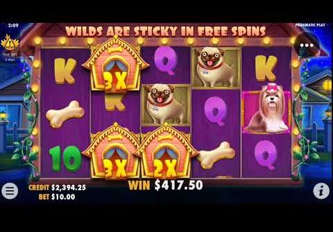 🎰 Casino online Philippines for real money 💰 The Dog house slot BIG WIN 🤑 Online casino Philippines