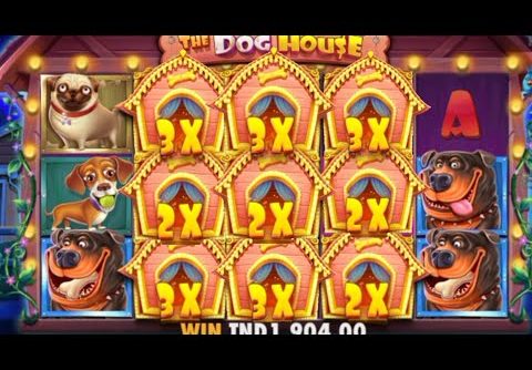 THE DOG HOUSE SLOTS MAX WIN CASINO😱 REALLY HUGE WIN/ BONUS BUY ضرب صحيح