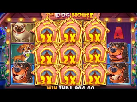 THE DOG HOUSE SLOTS MAX WIN CASINO😱 REALLY HUGE WIN/ BONUS BUY ضرب صحيح