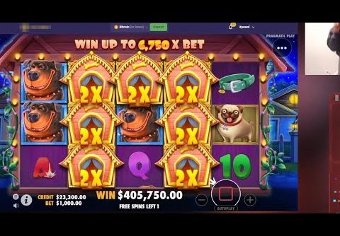Lucky Mega Win💵💵 Dog House Slot!! Top World Record Of Weeks – Casino Online