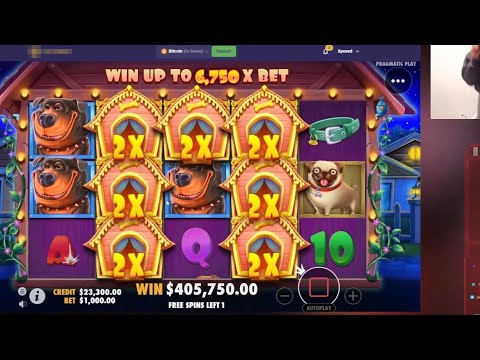 Lucky Mega Win💵💵 Dog House Slot!! Top World Record Of Weeks – Casino Online