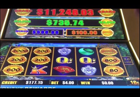 💥 BIG WIN DRAGON LINK PEACOCK PRINCESS 🐉  Princess on good mood 🤑 POKIE WINS  SLOT MACHINE