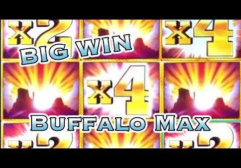 BUFFALO MAX: BIG WIN, RETRIGGERS (max bet)