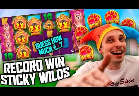 RECORD STICKY WILDS BIG WIN DOG HOUSE MEGAWAYS – SLOTS BIGGEST WINS