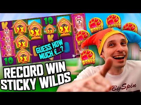 RECORD STICKY WILDS BIG WIN DOG HOUSE MEGAWAYS – SLOTS BIGGEST WINS