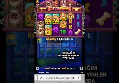 Dog House Megaways Mega Win #casino #slot #casinoslot #keşfet #roulette #sweetbonanza #çekiliş
