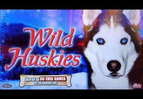 TOO MANY FREE GAMES!  BIG WIN on WILD HUSKIES + MORE CHILLI SLOT MACHINE POKIES BONUSES!