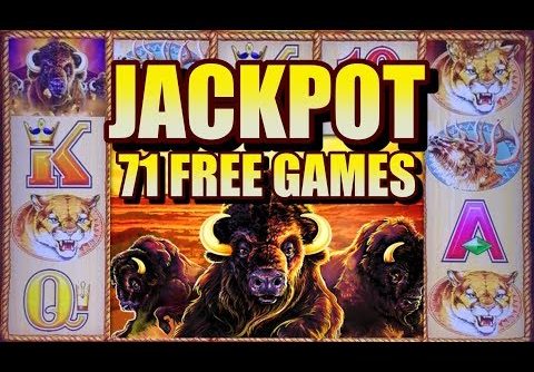 HANDPAY!! Huge buffalo gold slot win