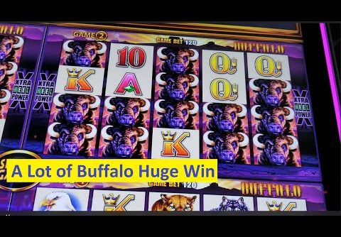 Buffalo Wonder 4 Boost $$$ Huge Win