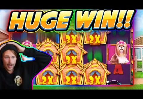 HUGE WIN!!! Dog House BIG WIN – Casino game from CasinoDaddy Live Stream