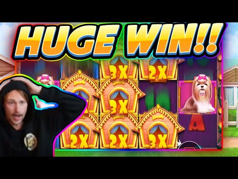 HUGE WIN!!! Dog House BIG WIN – Casino game from CasinoDaddy Live Stream