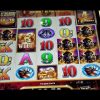 Huge Win On Buffalo Xtreme Slot