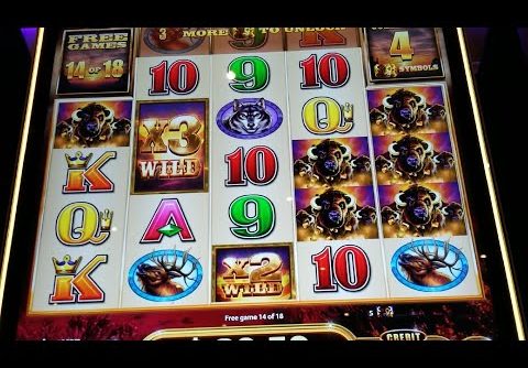 Huge Win On Buffalo Xtreme Slot