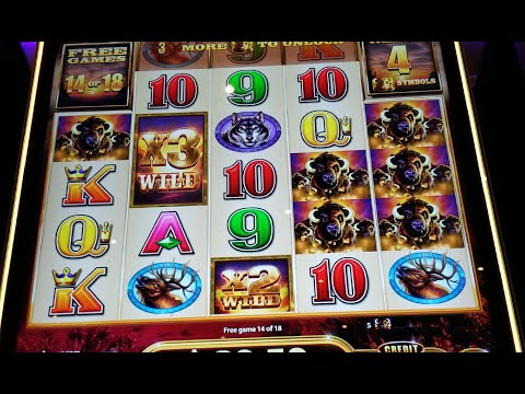 Huge Win On Buffalo Xtreme Slot