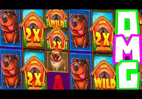 The Dog House Megaways 🐶 My BIGGEST win EVER 😵 on this Slot €1.000 Bonus Buy OMG What a Comeback‼️