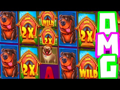 The Dog House Megaways 🐶 My BIGGEST win EVER 😵 on this Slot €1.000 Bonus Buy OMG What a Comeback‼️