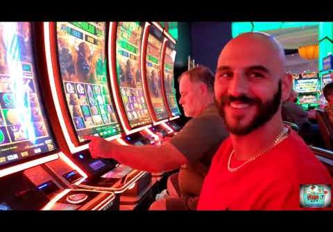 $25 Buffalo Link with @NJ Slot Guy & Big Wins on Cash Jolt!