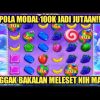 SLOT GACOR HARI INI! DAPAT X50  AUTO KABUR BOR SWEET BONANZA