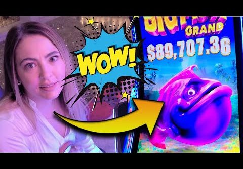 OMG 20 FREE GAMES & Progressive WIN on The Big Fish Slot Machine in Vegas 2022