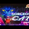 TONS OF MEGA MASSIVE JACKPOT WINS ON GORGEOUS CAT A REAL SLOT MACHINE JACKPOT