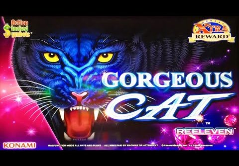 TONS OF MEGA MASSIVE JACKPOT WINS ON GORGEOUS CAT A REAL SLOT MACHINE JACKPOT