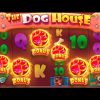 RARE 6 SCATTER BONUS ON DOG HOUSE MEGAWAYS!? (INSANE)