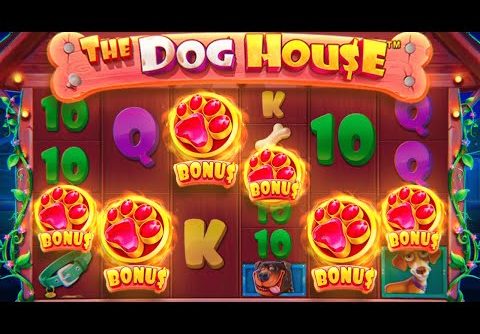 RARE 6 SCATTER BONUS ON DOG HOUSE MEGAWAYS!? (INSANE)