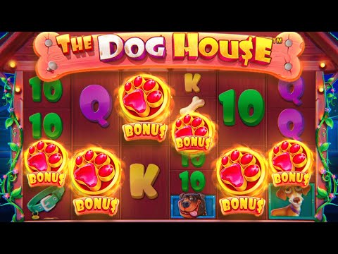 RARE 6 SCATTER BONUS ON DOG HOUSE MEGAWAYS!? (INSANE)