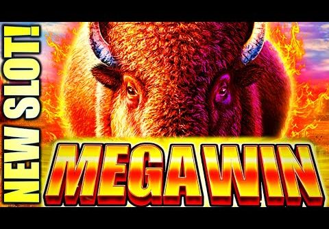 “MEGA” BIG WIN!! 🤑 NEW SLOT! WILD FORCE BISON SUNRISE Slot Machine (ARUZE)