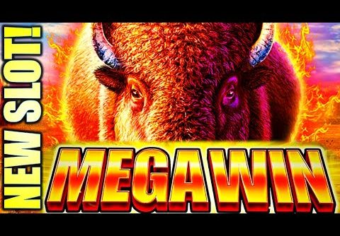 “MEGA” BIG WIN!! 🤑 NEW SLOT! WILD FORCE BISON SUNRISE Slot Machine (ARUZE)