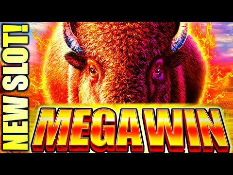 “MEGA” BIG WIN!! 🤑 NEW SLOT! WILD FORCE BISON SUNRISE Slot Machine (ARUZE)