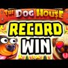 MY BIGGEST WIN EVER ON THE DOG HOUSE 🐶 €100 BETS DESTROYED THIS SLOT OMG 😱 I BROKE MY RECORD‼️