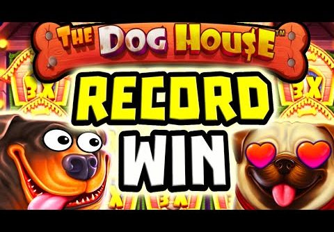 MY BIGGEST WIN EVER ON THE DOG HOUSE 🐶 €100 BETS DESTROYED THIS SLOT OMG 😱 I BROKE MY RECORD‼️