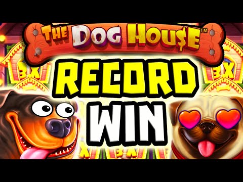 MY BIGGEST WIN EVER ON THE DOG HOUSE 🐶 €100 BETS DESTROYED THIS SLOT OMG 😱 I BROKE MY RECORD‼️