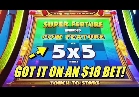 I got the SUPER FEATURE! Winning Session on Coin Combo Carnival Cow Slot