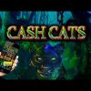 Amazing FREE SPINS BIG WIN on Cash Cats! 💰🐱🔥