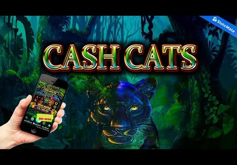 Amazing FREE SPINS BIG WIN on Cash Cats! 💰🐱🔥