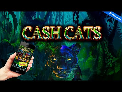 Amazing FREE SPINS BIG WIN on Cash Cats! 💰🐱🔥