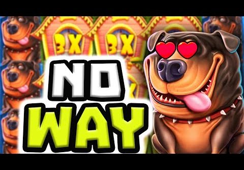 I BROKE THE DOG HOUSE MEGAWAYS 🐶 OMG‼️ *** ULTRA BIG WINS ***