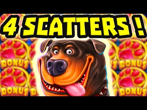 THE DOG HOUSE MEGAWAYS 🐶 SLOT BIG WINS SO MANY 4 SCATTER BONUS BUYS 😱 OMG THIS IS EPIC‼️