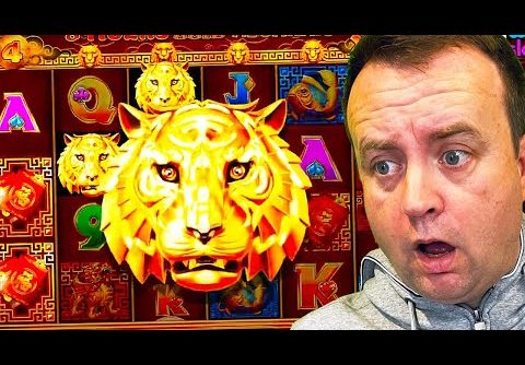 Unbelievable Multiplier on 8 Tigers Gold Megaways (Big Wins)