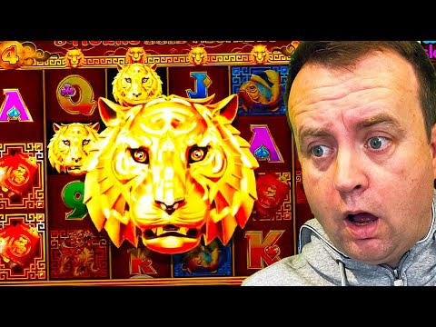 Unbelievable Multiplier on 8 Tigers Gold Megaways (Big Wins)