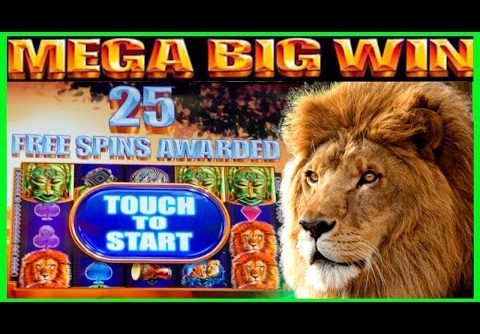 **MEGA BIG WIN!** 25 Lucky Spins! King of Africa Slot Machine Bonus
