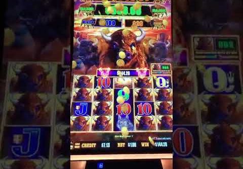 SUPER BIG SLOT WIN BUFFALO LINK SLOT MACHINE | Red Rock Casino | Las Vegas 2022 #SHORTS