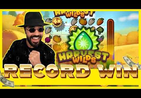 ROSHTEIN EPIC RECORD WIN ON HARVEST WILDS!! NEW SLOT